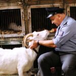Byl jednou jeden polda III - Major Maisner a tančící drak