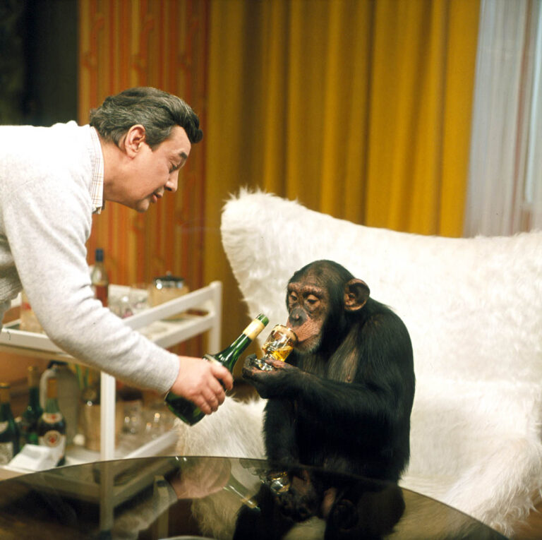 Hop – a je tu lidoop: Potíže s opičáky, hádky mezi herci kvůli režimu a „Buď větší frajer“