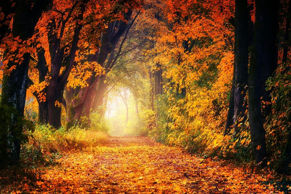 Ilustrační foto, ZDROJ: Pixabay.com