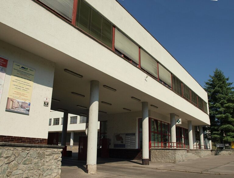 V Dětské nemocnici zaměstnali digitální sestru. Podívejte se, jak vypadá a s čím vám pomůže