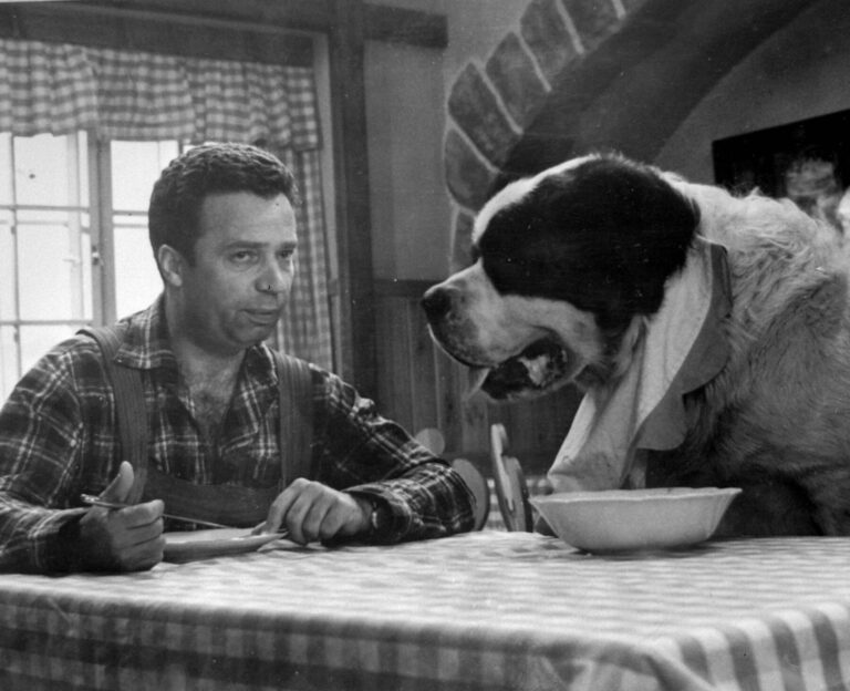 Menšíkovy Silvestry byly vykoupené bolestí. O pauzách ležel v bolestech na kapačkách