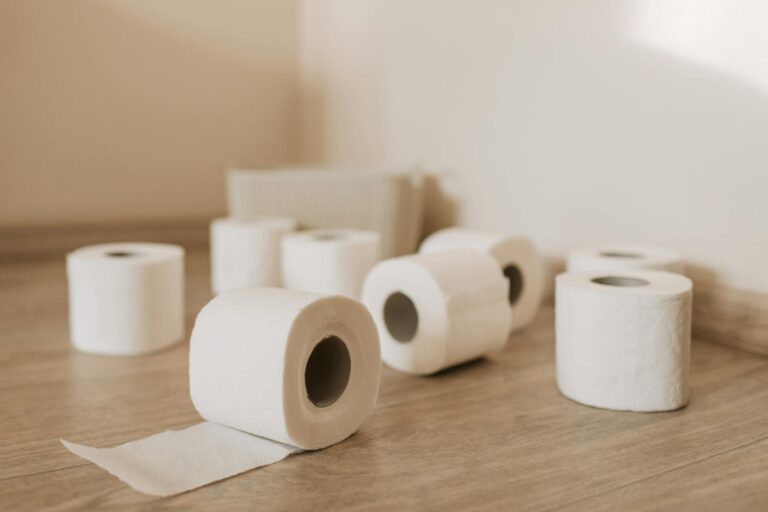 Co by se stalo, kdyby na světě došel toaletní papír? Dopady na hygienu, kanalizaci i životní prostředí