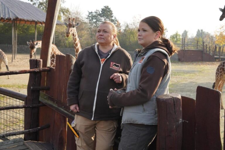 Pavla Tomicová překonala rozvod a zhubla přes 30 kg. Herečce to sluší jak nikdy a rozhodla se vrátit před kamery