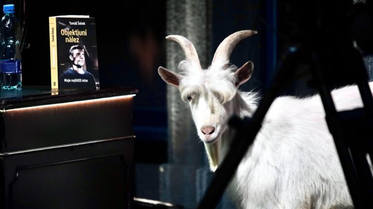 Show Jana Krause: S Dianou Mórovou o nahotě před kamerou, od loutek k dojení a autohanopis úspěšného lékaře