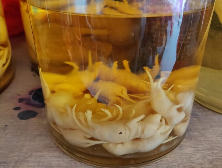 Myší víno aneb dávný elixír mládí: Místní se na jeho výrobu nedívají s odporem jako zbytek světa