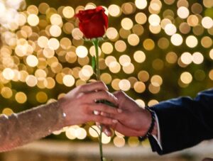 Bachelor byl u nás velmi sledovaný, na Slovensku se show jmenuje Ruža pre nevestu, FOTO: Bachelor, Distr. Archiv TV Nova