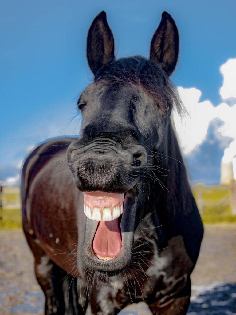 Ilustrační foto, ZDROJ: Pixabay.com