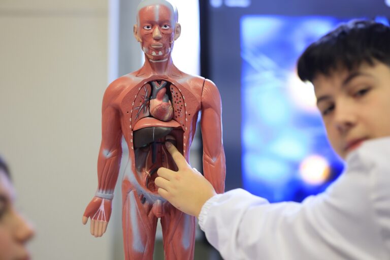 Zajímavosti o lidském těle, které nevíte: Každých 7 let jste jiný člověk, mozek „svítí“ jak žárovka a více buněk než hvězd