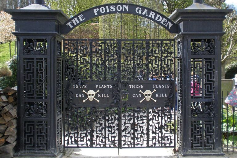 Zahrada smrti Alnwick Garden: Sto druhů rostlin, které vás mohou usmrtit jediným dotykem