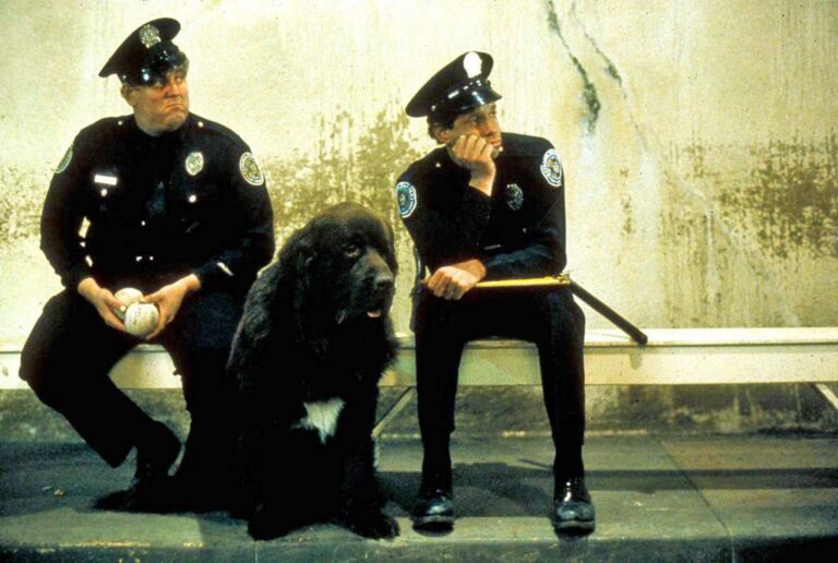 Policejní akademie: Herečka z filmů pro dospělé, zlomená noha či Mahoney, kterého mohl hrát Bruce Willis