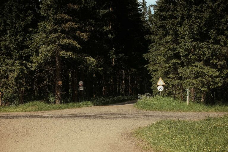 Promlčení nevyřešené vraždy se blíží: Marie Nesetová (†51) jela do práce, tělo našli až po třech dnech