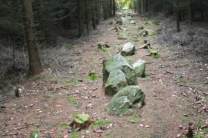 Kounov_kamenné_řady_1 | ReadZone