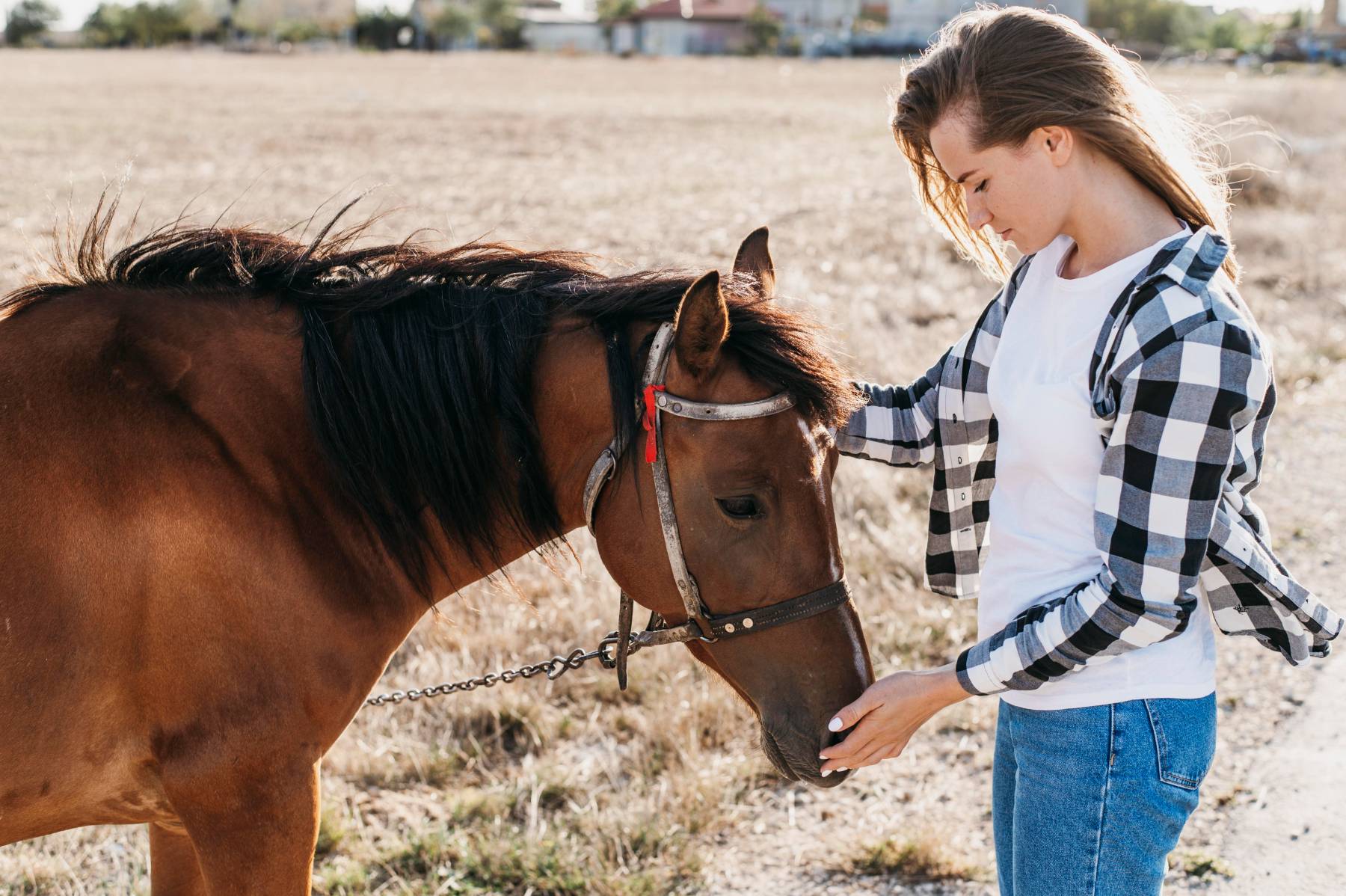 woman-petting-adorable-horse | ReadZone