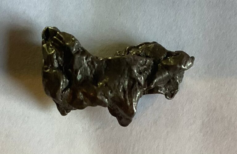 Ann Hodges: První žena na světě, která přežila zásah meteoritem