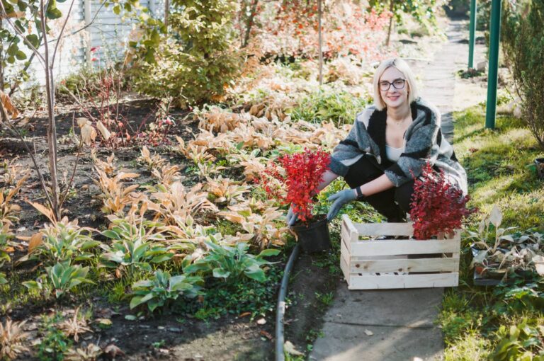 Správné zazimování zahrady krok za krokem. Péči potřebuje trávník, keře i trvalky