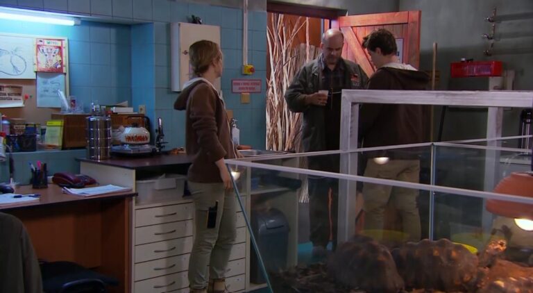 Tento týden v ZOO Nové začátky: Rozchody, nemoci i lásky, které překvapí