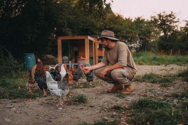 Farma Vojty Kotka 6. díl: Neúspěšný boj s mandelinkou, konec snu o bio bramborách a kritika jeho klecového chovu