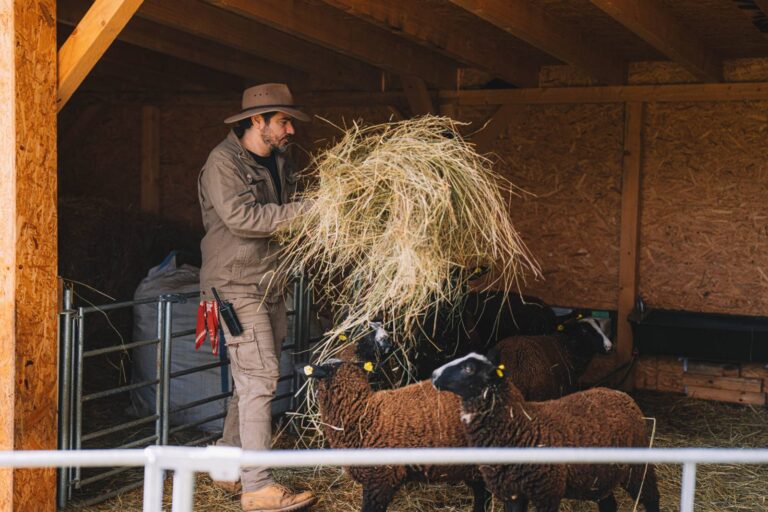 Farma Vojty Kotka 8. díl. Nákaza parazity, první úhyn na farmě a Vojta v slzách