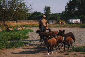 Farma Vojty Kotka 8. díl, FOTO: distr. FTV Prima