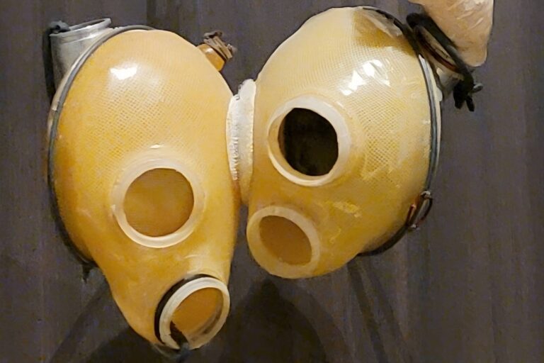 2. prosince 1982 bylo implantováno první umělé srdce. Pacient žil jen 112 dní, dal ale šanci tisícům dalších