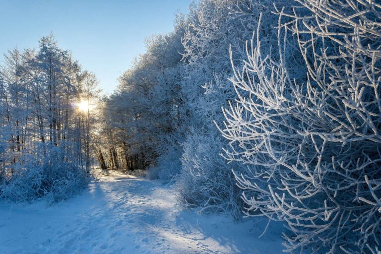 Arktické dny v Česku nekončí. Meteorologové varují před pátkem a zveřejnili datum oteplení