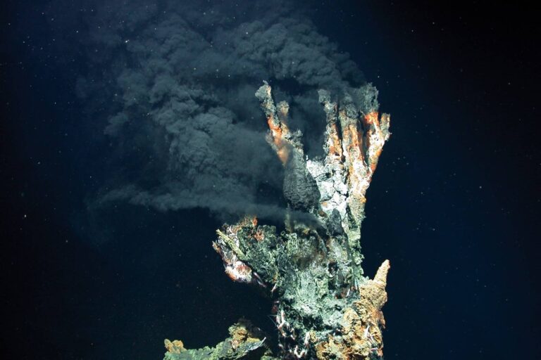 Všichni jsme Asgarďané. Biologové našli našeho společného předka v horkém bahně