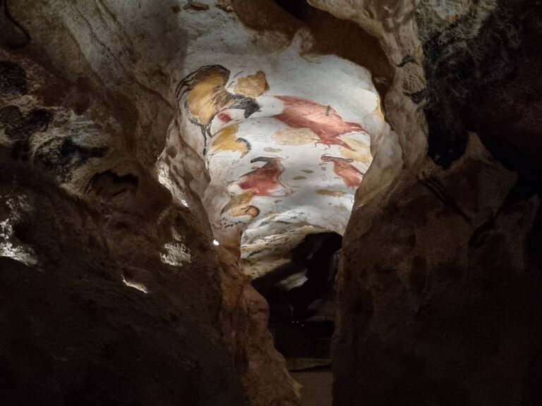 Pes Robot ucítil králíka a nechtěně přepsal dějiny. Čtveřice chlapců díky němu našla Sixtinskou kapli pravěku