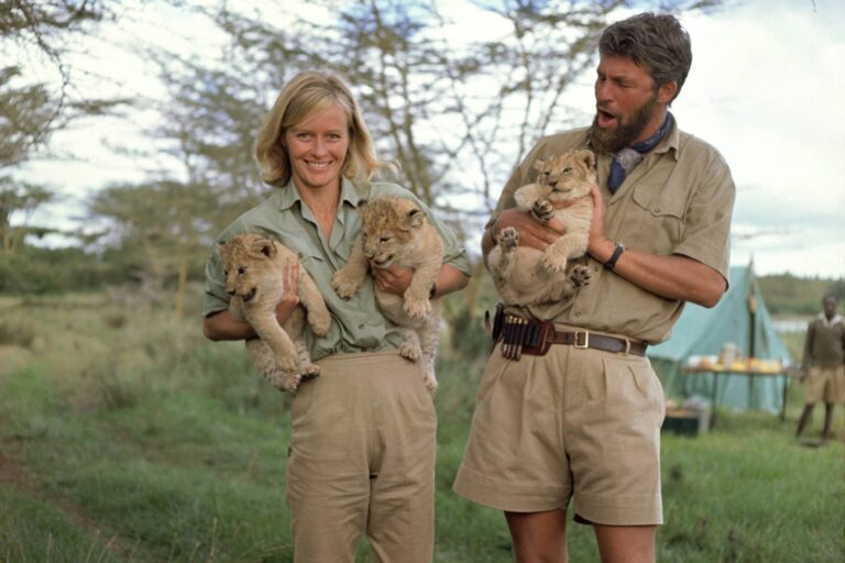 Volání divočiny: Skutečná Joy terorizovala štáb a lvi útočili na herce