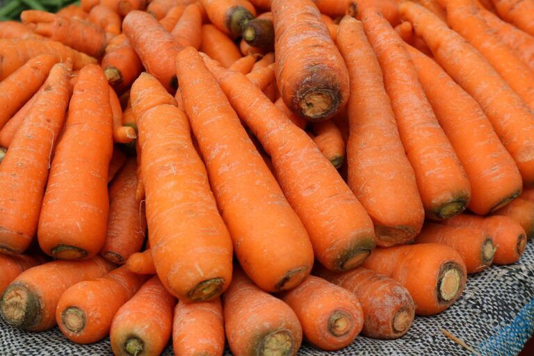 Černé mapy na mrkvi: Kdy stačí nůž a kdy zelenina patří okamžitě do koše