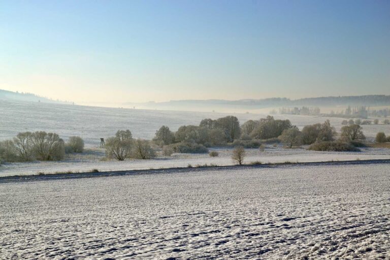 Meteorologové otáčí předpověď. Falešné jaro o víkendu tvrdě narazí, konec týdne přinese zlom