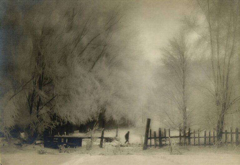 Sibiř v Česku: Naměřili minus 42 stupňů, lidé umrzali v domovech a premiér slavil vítězství