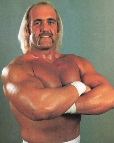 Hulk Hogan